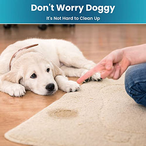 Atavyst Carpet Stain Spray and Pet Odor Eliminator for Strong Odor - Carpet Cleaner for Pets - Pet Odor Eliminator for Home - Carpet Stain Remover for Cats and Dog Pee - Urine Odor Eliminator