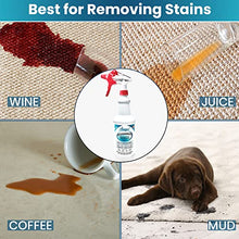 Atavyst Carpet Stain Spray and Pet Odor Eliminator for Strong Odor - Carpet Cleaner for Pets - Pet Odor Eliminator for Home - Carpet Stain Remover for Cats and Dog Pee - Urine Odor Eliminator