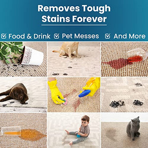 Atavyst Carpet Stain Spray and Pet Odor Eliminator for Strong Odor - Carpet Cleaner for Pets - Pet Odor Eliminator for Home - Carpet Stain Remover for Cats and Dog Pee - Urine Odor Eliminator